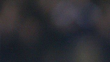 Adrian Mutu en un partido con el Chelsea en 2004.