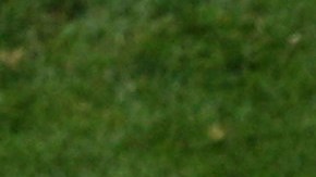 Juan Cuadrado y James Rodríguez