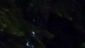 El gobierno quiere incentivar el turismo.