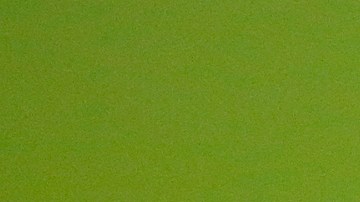 Bacarri Rambo fue detenido el lunes sin derecho a fianza.