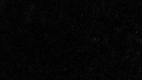 En México 68, Tommie Smith (oro) y John Carlos (bronce), protagonizaron la manifestación deportiva antirracista más recordada de la historia.