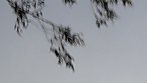 Hertz acciones bancarrota automóviles Uber dinero Nueva York