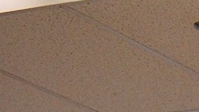 Dollar General Dollar Tree frutas verduras comestibles alimentos leche calidad ahorro advertencia