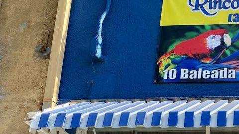 Empleadas del restaurante Rincón Hondureño en Los Ángeles. (Blanca Peréz)