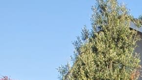 Julio Peralta con su hija Olga Margarita Peralta. (Cortesía Orbach News)