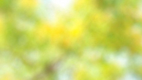 Ricardo Benítez, candidato a la Asamblea de California explica por que demandó al gobernador Gavin Newsom. (Araceli Martínez/La Opinión).