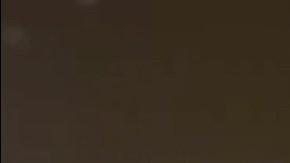 Las autoridades de Miami han recordado que están fiestas son ilegales y que se van a tomar acciones pertinentes.