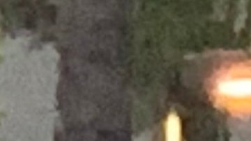 Enfermeros y partidarios se reunieron para protestar el jueves. (California Nurses Association/National Nurses United)