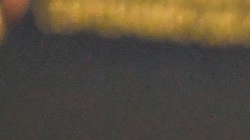 Layún era uno de los consentidos del colombiano.