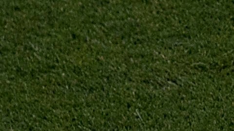 'Chucky' fue el autor del gol ante Alemania.