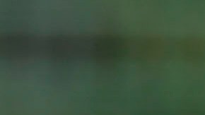 El Tri volvería a la actividad hasta el 2021.