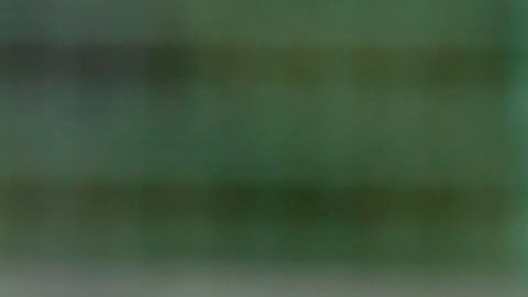 El Tri volvería a la actividad hasta el 2021.