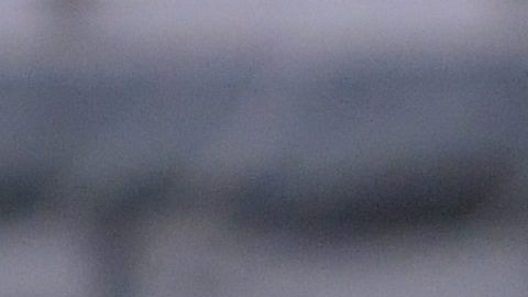 Muñoz llegó al América en 2019.