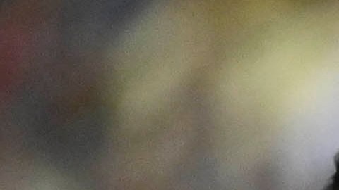 Chivas y América participarían.