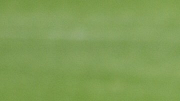 El Apertura 2020 podría arrancar el 17 de julio.