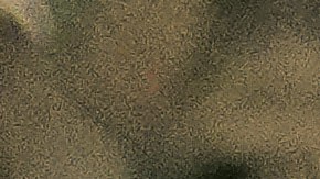 Leonardo Aguilar y su familia están resguardados en el rancho de la familia en Zacatecas, México. Foto: Cortesía del artista