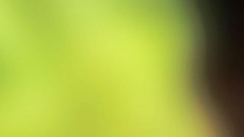 Lenin Gutiérrez dice estar sorprendido del apoyo de la comunidad.