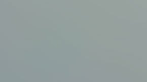 Lisa Smith, de 31 años, fue arrestada el martes en la ciudad de Aventura.