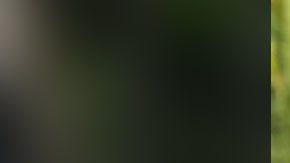 Miguel Antunes era natural de Zimbabue aunque llevaba 11 años residiendo en el sur de la Florida.