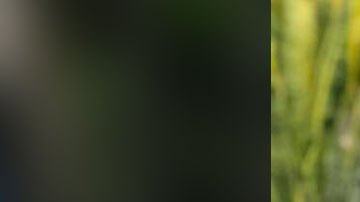 Miguel Antunes era natural de Zimbabue aunque llevaba 11 años residiendo en el sur de la Florida.