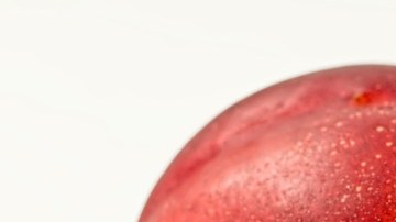 Foto: Steve Buissinne /Pixabay