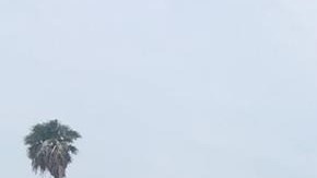 Violencia en Oaxaca.