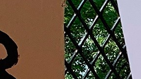 Protesta científicos racismo