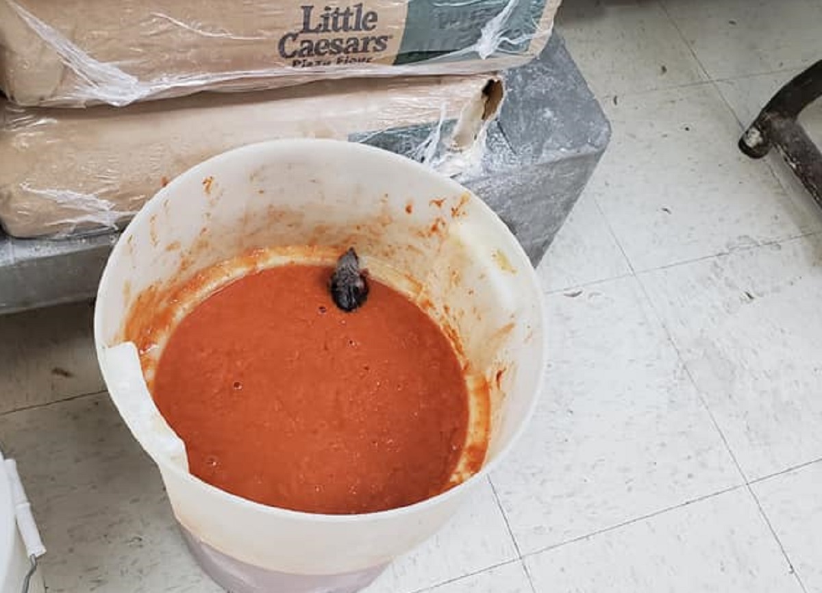 Exgerente de Little Caesars publica fotos de ratas en salsa de tomate