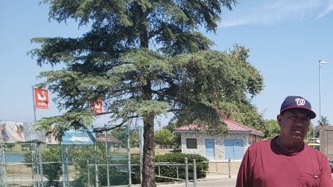 Rosa Miranda, organizadora de vendedores ambulantes en peligro de deportación. (Cortesía Rosa Miranda)