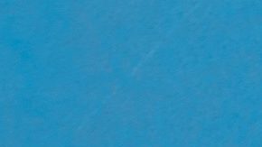 Chanclas marca Nike.