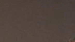 El sospechoso llevó de compras al anciano.