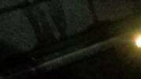 mono araña contrabando