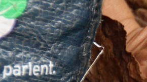 Tabaco- Monica Volpin en Pixabay