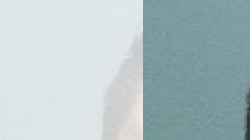 Al parecer, el comportamiento de Tarin está relacionado con el alcohol.