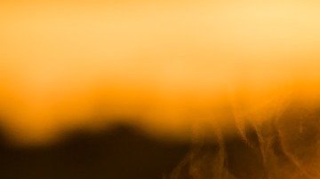 Té-Myriam Zilles de Pixabay