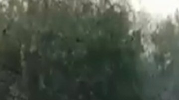 VIDEO: Sicarios del Cártel de Sinaloa atacan a soldados mexicanos