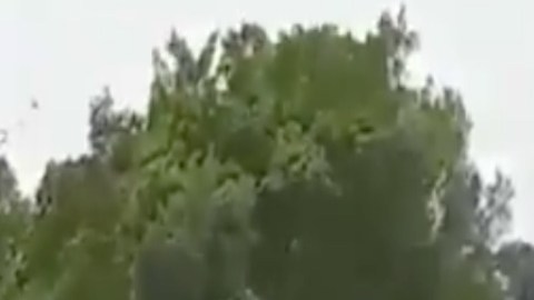 VIDEO: Así fue la balacera donde fue capturado líder de La Familia Michoacana