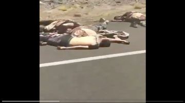 VIDEO: Los Chapitos regaron los cuerpos de 10 de sus víctimas cerca de frontera con EE.UU.