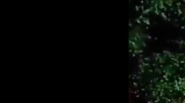 VIDEO: Tras golpearlo y torturarlo, sicarios del Mayo Zambada interrogan a uno de los Chapitos