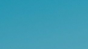 Tendencia del verano 2020.