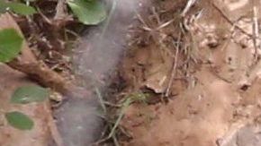 Photo © 2020 x17/The Grosby Group
Spain: Lagencia Grosby

PREMIUM EXCLUSIVE 

Lovebirds Justin Bieber and Hailey Baldwin going swimming in a creek during camping trip in spectacular park in Utah, climbing rockes, cuddling  June 6, 2020 /X17online.com