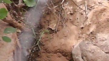 Photo © 2020 x17/The Grosby Group
Spain: Lagencia Grosby

PREMIUM EXCLUSIVE 

Lovebirds Justin Bieber and Hailey Baldwin going swimming in a creek during camping trip in spectacular park in Utah, climbing rockes, cuddling  June 6, 2020 /X17online.com