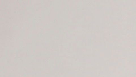 Trump con la biblia al frente de la Iglesia.