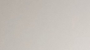 Antes de intentar huir, Brooks colaboró con la policía.