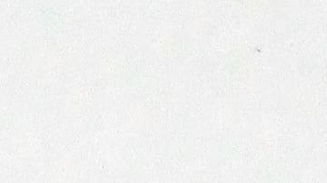 Personas que se quedaron sin trabajo también esperan prestación por desempleo.