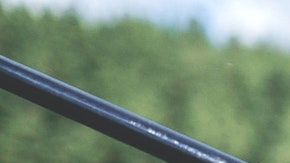 Su día de pesca fue algo inusual.