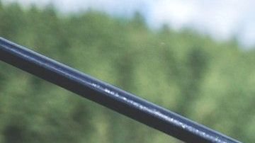 Su día de pesca fue algo inusual.