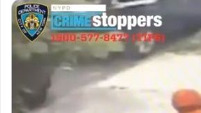 Captura de video de seguridad