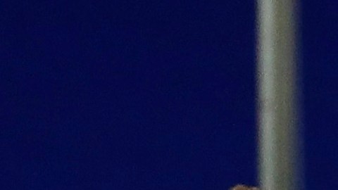 La estrella juvenil del Barça, Ansu Fati.
