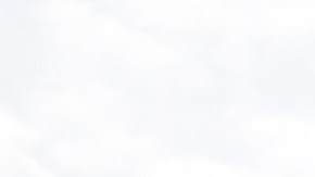 La asamblea neoyorquina ya ha aprobado medidas para dar transparencia a la policía.